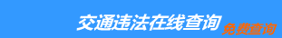 （手机版）永州交通违章查询