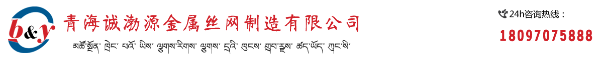 护栏网隔离栅网