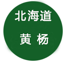 辽宁葫芦岛北海道黄杨,辽宁省苗木基地,北海道黄杨供应商,黄杨树,大叶杨,小叶黄杨,海道黄杨价格,北海道黄杨求购,辽宁北海道黄杨