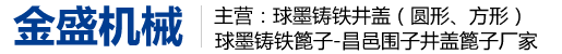 球墨铸铁井盖,球墨铸铁篦子,铸铁井盖厂家,铸铁篦子厂家