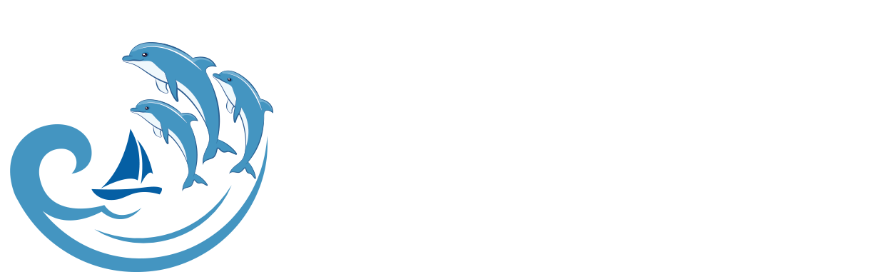 首页