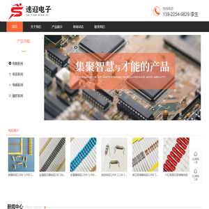 东莞市速迎电子有限公司