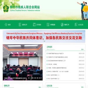 广西柳州残疾人联合会网站