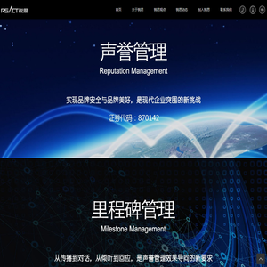 锐思爱特咨询