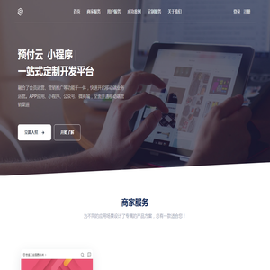 专业系统开发商