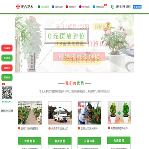 武汉绿植租赁