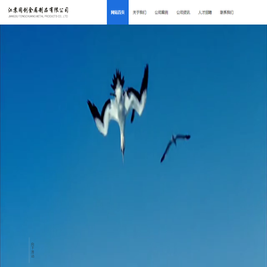 精拔管
