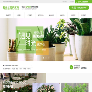 花卉盆景供应商
