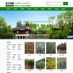 灌木树苗