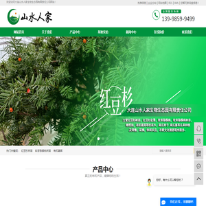 红豆杉树苗